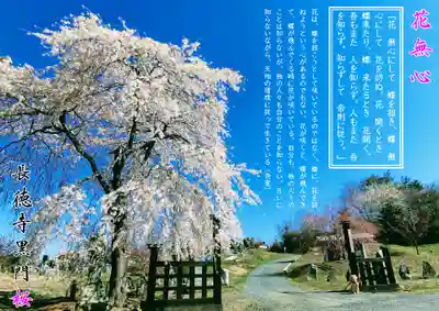 長徳寺の山門・神門