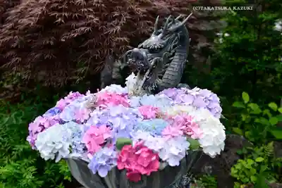 成就院の手水舎