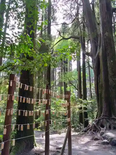山神社(鹿児島県)