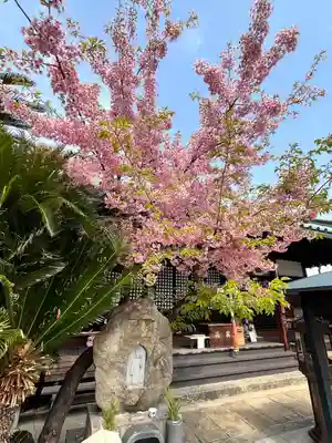 長宝寺(大阪府)