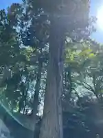 瑞巌寺(宮城県)