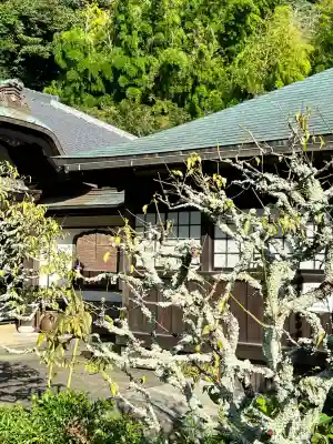 瑞泉寺(神奈川県)
