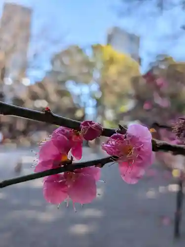乃木神社(東京都)
