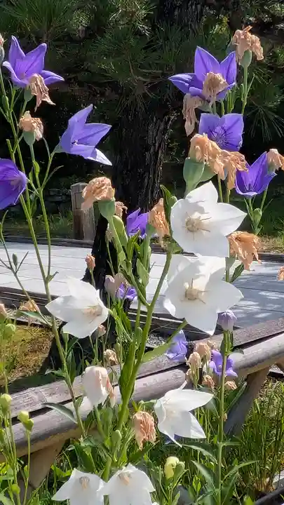 智積院(京都府)