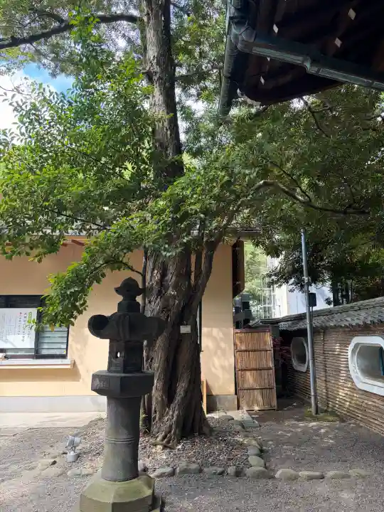 赤坂氷川神社(東京都)