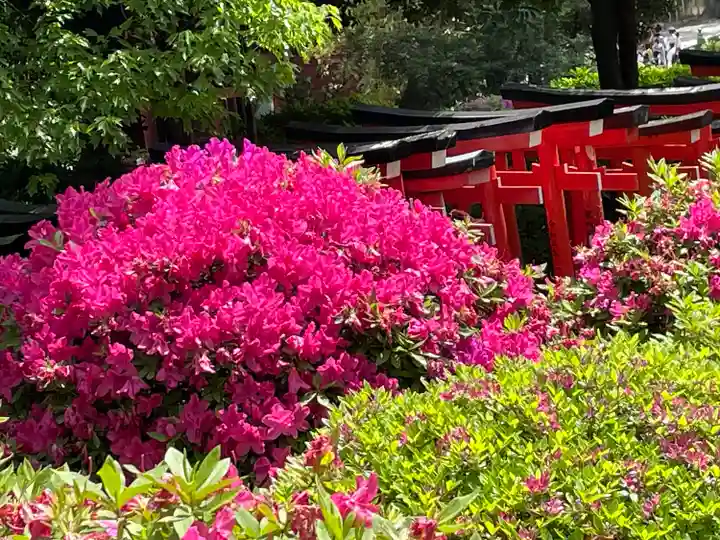 乙女稲荷神社(東京都)