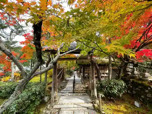 化野念仏寺の山門