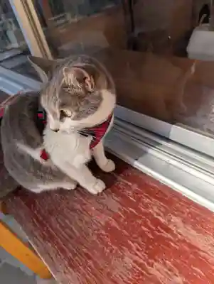 正一位 若草稲荷神社(宮城県)
