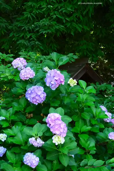 金王八幡宮(東京都)