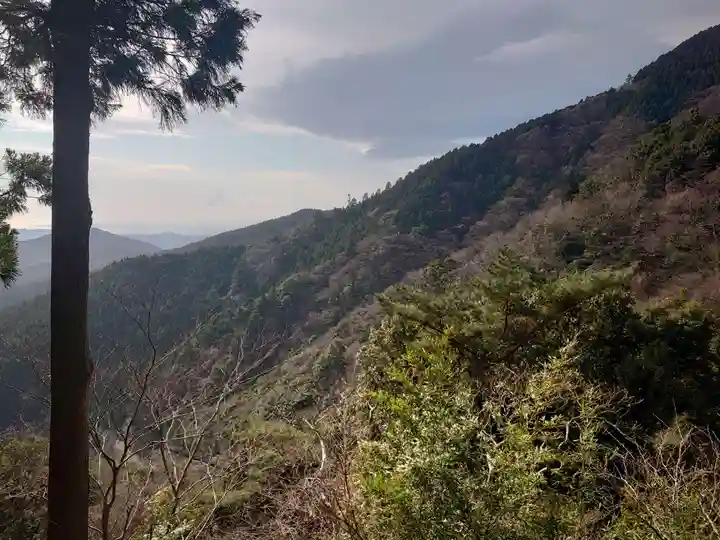 大山阿夫利神社の景色