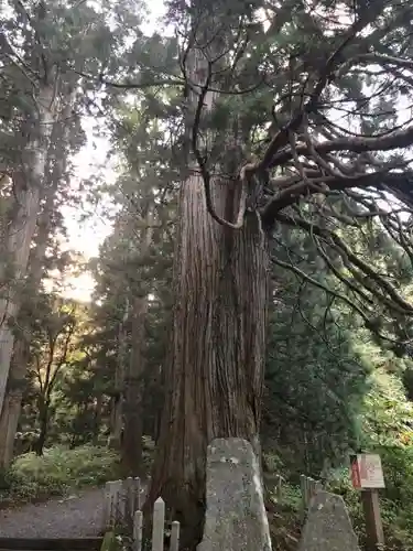 比婆山熊野神社の建物その他