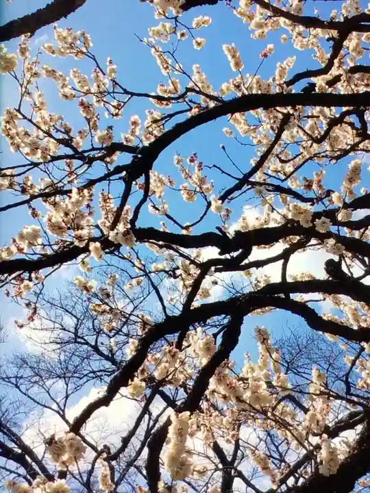 福蔵院(東京都)