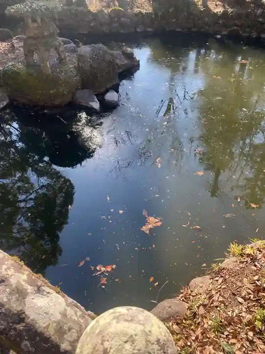大原八幡宮の自然