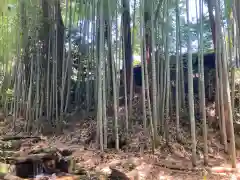 目の霊山　油山寺の周辺