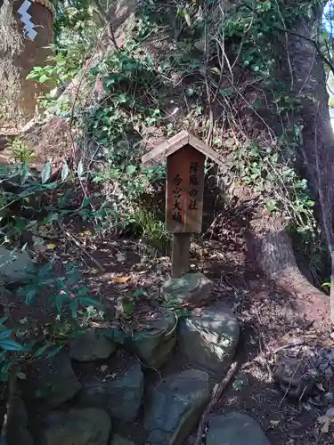 今宮神社の自然