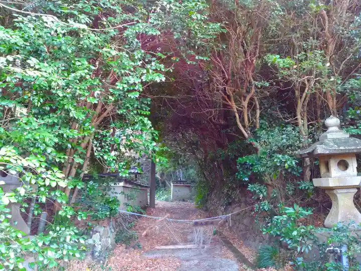 唯心寺(廃寺)の自然