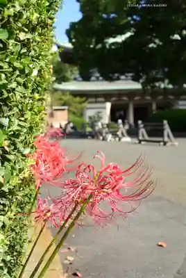 総持寺(神奈川県)