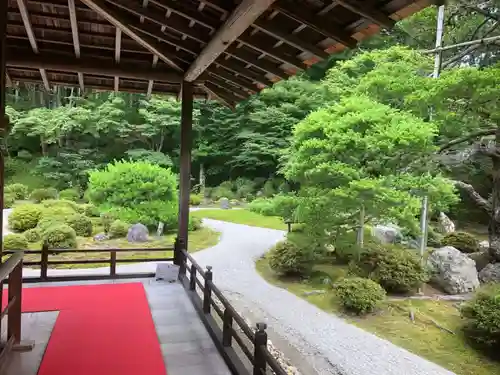 曼殊院門跡の庭園