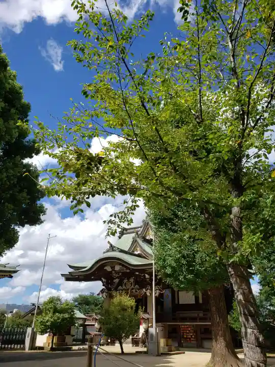 諏訪神社(東京都)