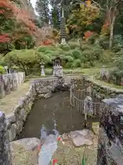 岡寺（龍蓋寺）(奈良県)