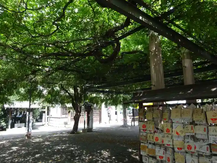 國領神社の自然