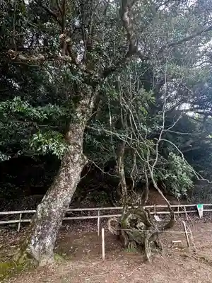 磯辺神社(京都府)