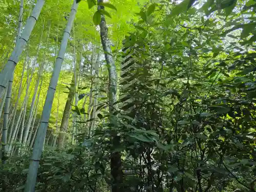 滝口寺(京都府)