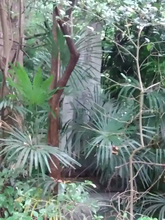 普門院(東京都)