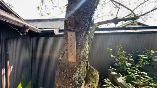 雨宝院(京都府)