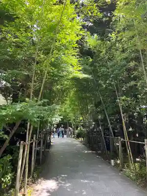 來宮神社(静岡県)