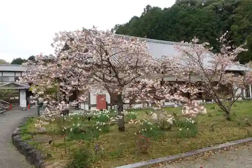 橘寺の自然