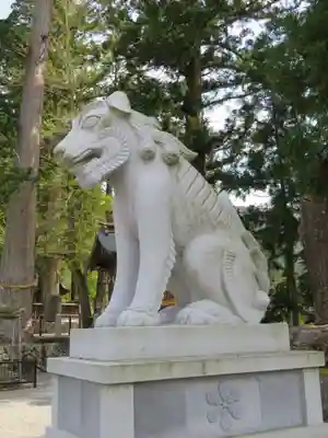 飛驒一宮水無神社の狛犬