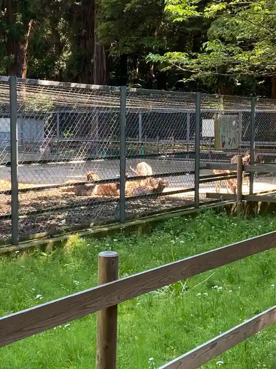 鹿島神宮(茨城県)