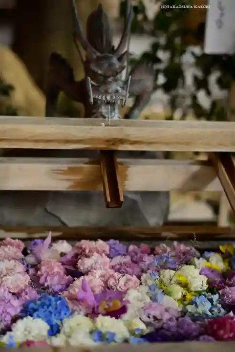 東京大神宮(東京都)