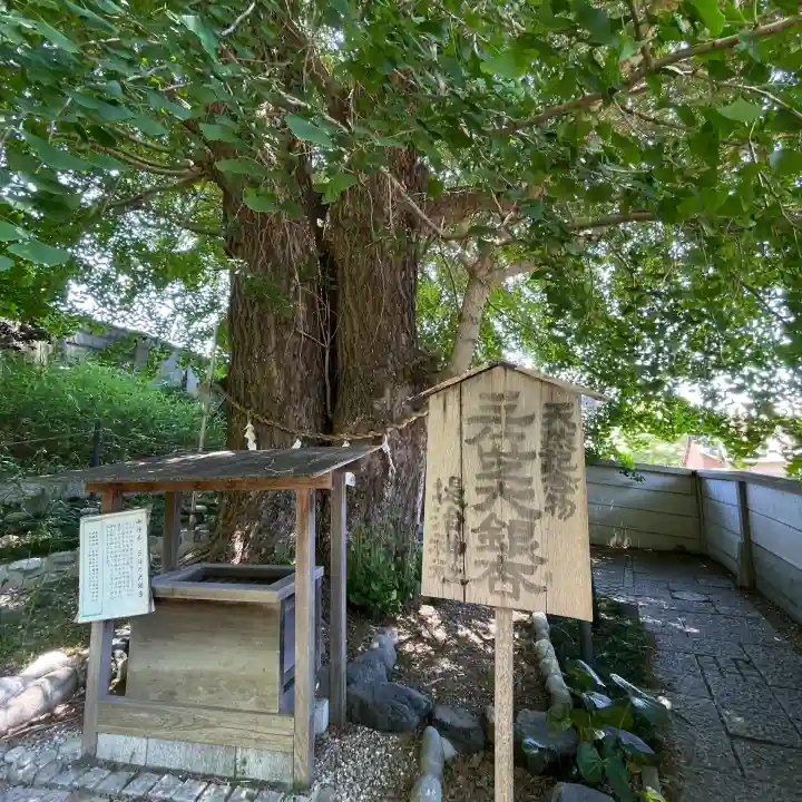 堤治神社の{uncategorized: "未分類", other: "その他", undefined: "問題あり", building: "その他建物", grave: "お墓", sacred_gate: "鳥居", guardian: "狛犬", statue: "像", buddha: "仏像", history: "歴史", nature: "自然", garden: "庭園", animal: "動物", pagoda: "塔", temizu: "手水舎", mountain_gate: "山門・神門", sanctuary: "本殿・本堂", subordinate: "末社・摂社", art: "芸術", scenery: "景色", jizo: "地蔵", ema: "絵馬", goshuin: "御朱印", omikuji: "おみくじ", items: "授与品その他", amulet: "お守り", goshuincho: "御朱印帳", eats: "食事", festival: "お祭り", votive_dance: "神楽", shichigosan: "七五三参", wedding: "結婚式", experience: "体験その他", initially: "初詣", around: "周辺", anti_infection: "感染症対策"}