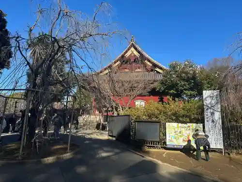 清水観音堂(東京都)