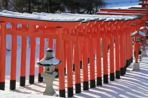 高屋敷稲荷神社の鳥居