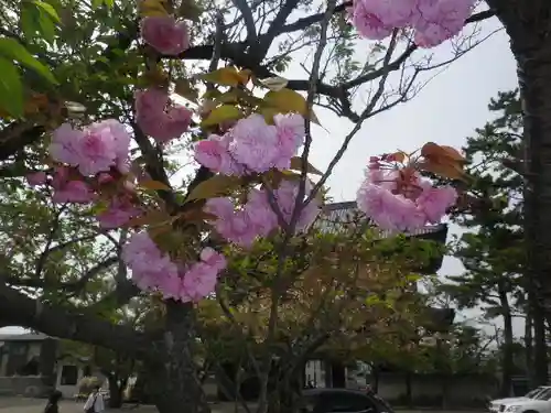 光明寺の庭園