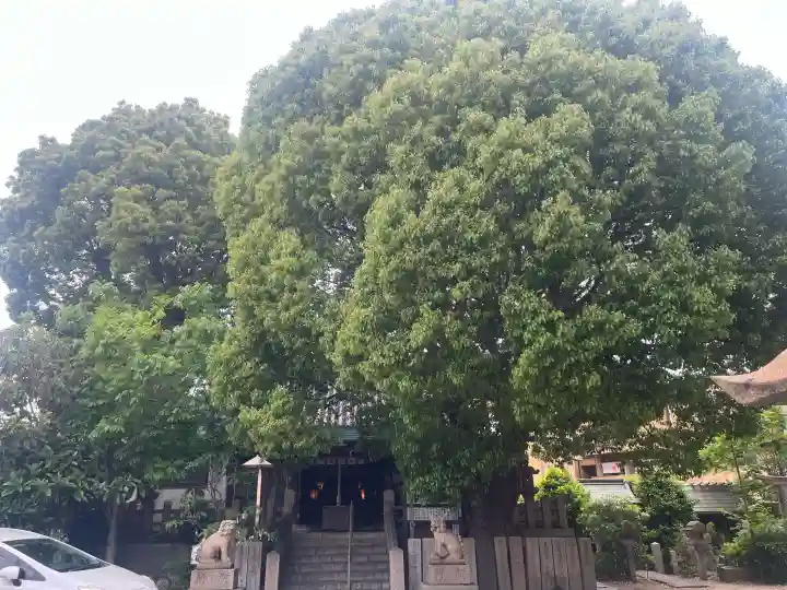 月洲神社の{uncategorized: "未分類", other: "その他", undefined: "問題あり", building: "その他建物", grave: "お墓", sacred_gate: "鳥居", guardian: "狛犬", statue: "像", buddha: "仏像", history: "歴史", nature: "自然", garden: "庭園", animal: "動物", pagoda: "塔", temizu: "手水舎", mountain_gate: "山門・神門", sanctuary: "本殿・本堂", subordinate: "末社・摂社", art: "芸術", scenery: "景色", jizo: "地蔵", ema: "絵馬", goshuin: "御朱印", omikuji: "おみくじ", items: "授与品その他", amulet: "お守り", goshuincho: "御朱印帳", eats: "食事", festival: "お祭り", votive_dance: "神楽", shichigosan: "七五三参", wedding: "結婚式", experience: "体験その他", initially: "初詣", around: "周辺", anti_infection: "感染症対策"}
