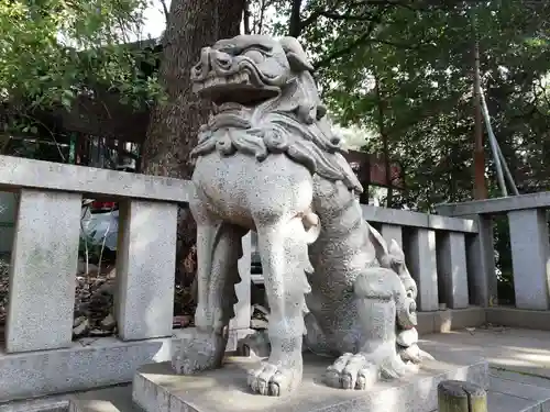 渋谷氷川神社の狛犬