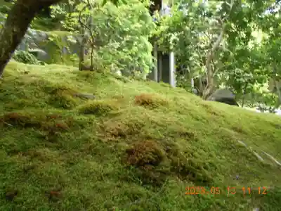 光明寺瑠璃光院(京都府)