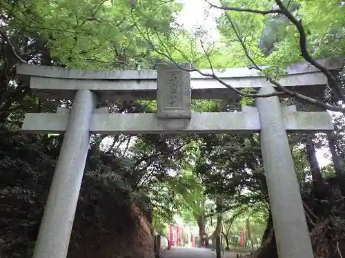 宮地嶽神社の鳥居