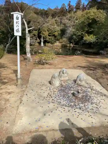 鹿苑寺（金閣寺）(京都府)