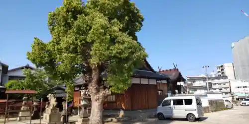大和田住吉神社(大阪府)