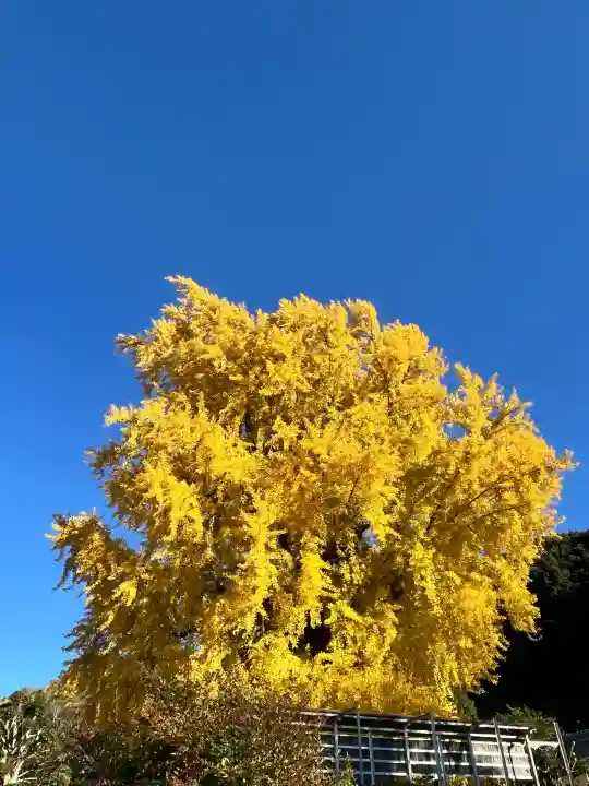 丹生酒殿神社(和歌山県)