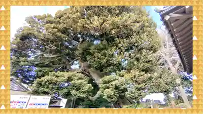 九重神社(埼玉県)