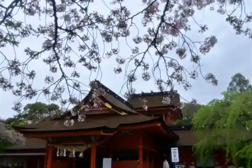 富士山本宮浅間大社の本殿・本堂