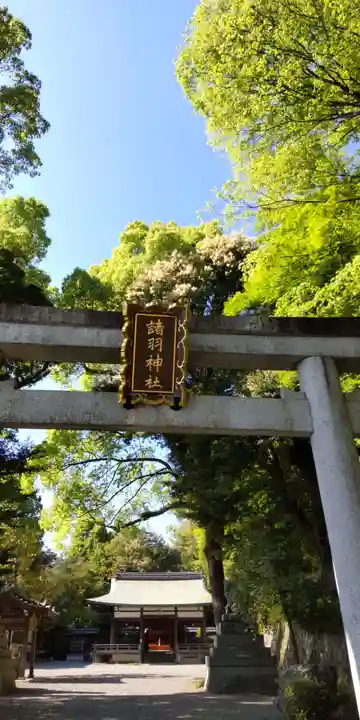 諸羽神社(京都府)