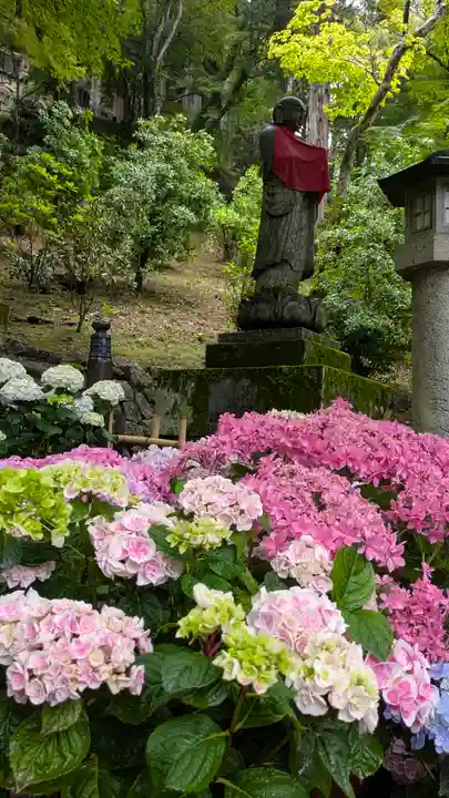 長谷寺(奈良県)