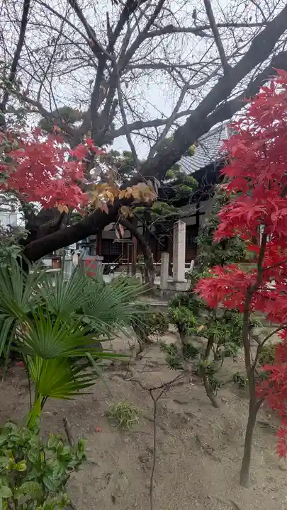 墨染寺(桜寺)(京都府)